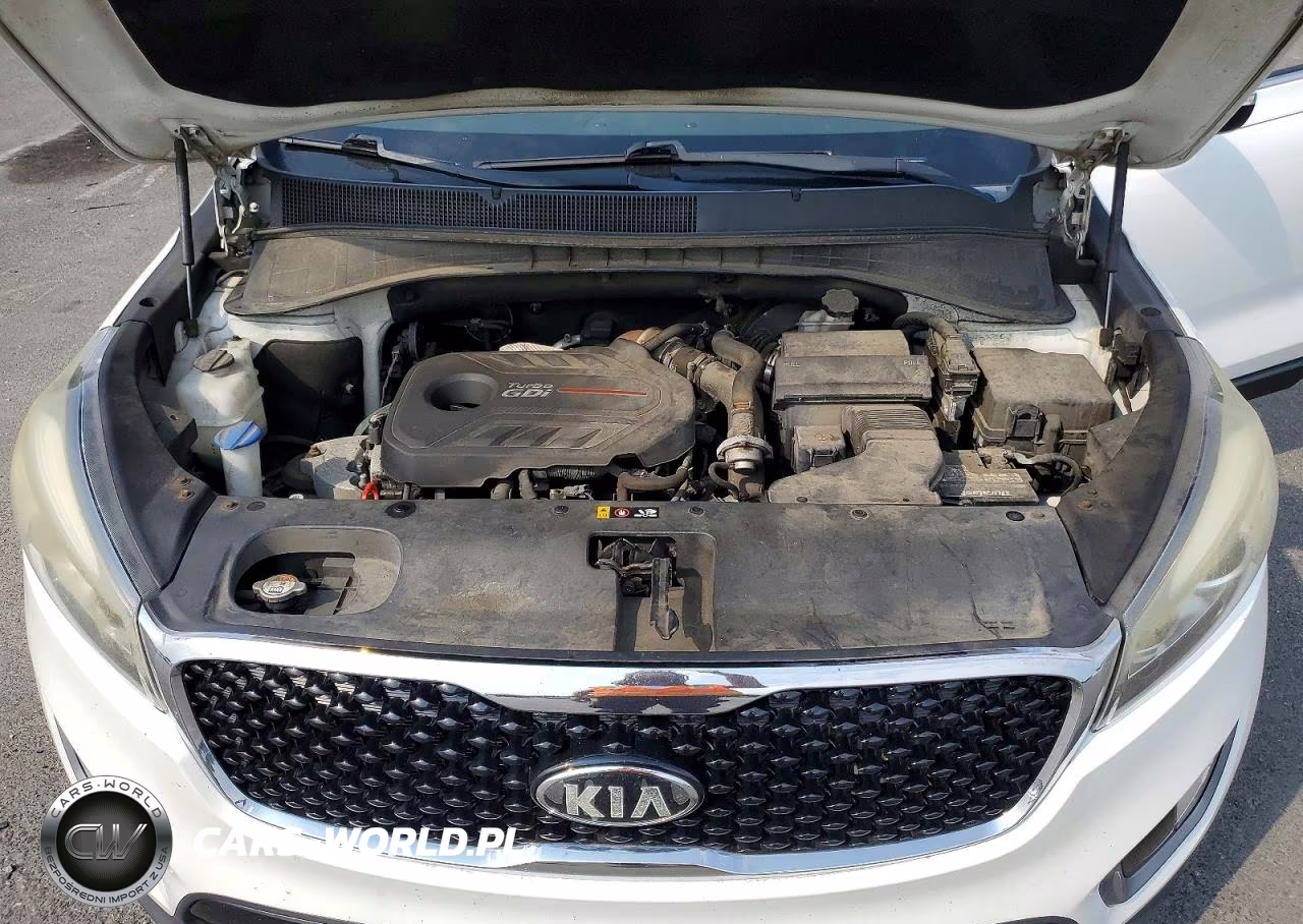 2016 Kia Sorento Ex VIN:5XYPHDA1XGG025353 - 11
