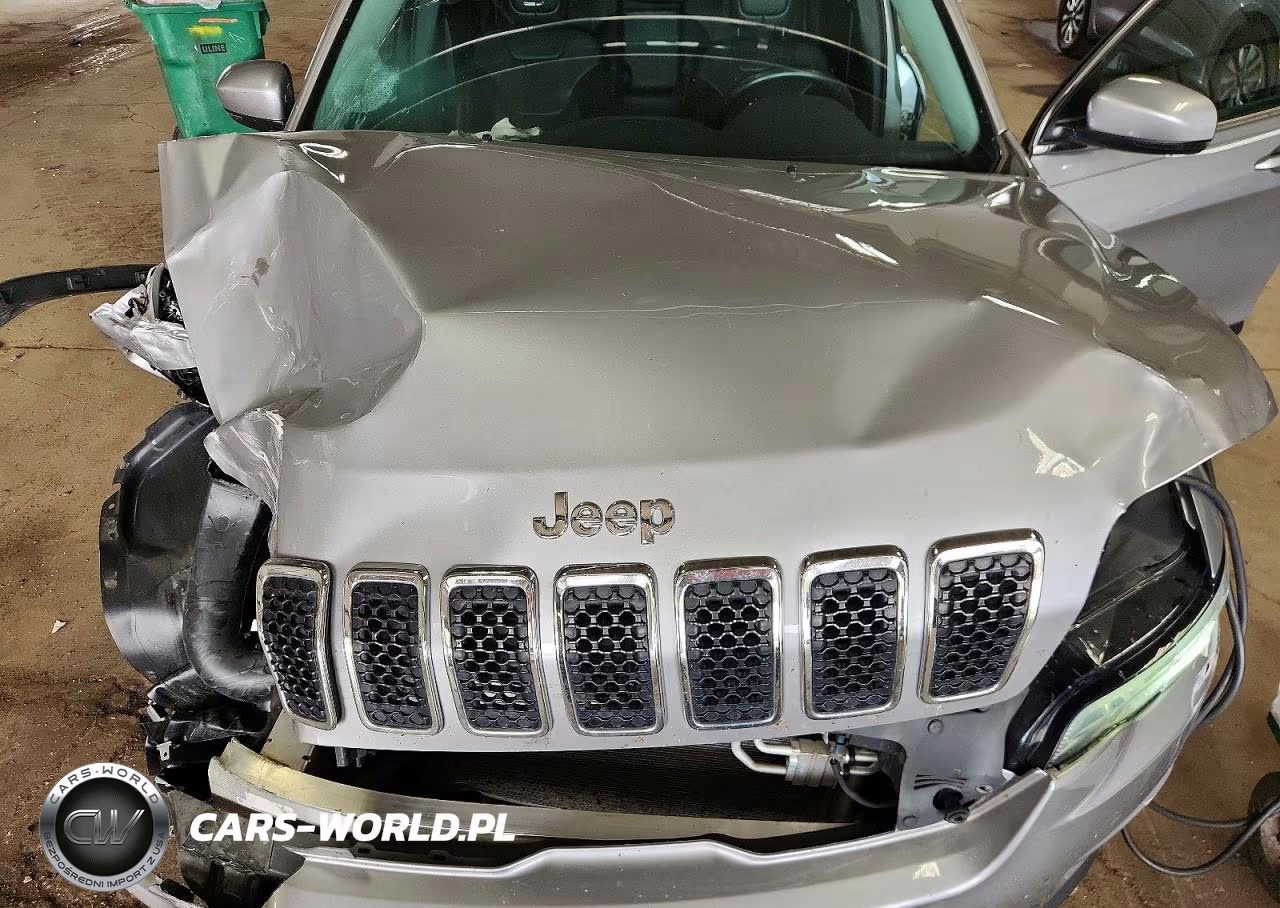 2019 Jeep Cherokee Limited VIN:1C4PJMDX8KD342639 - 12