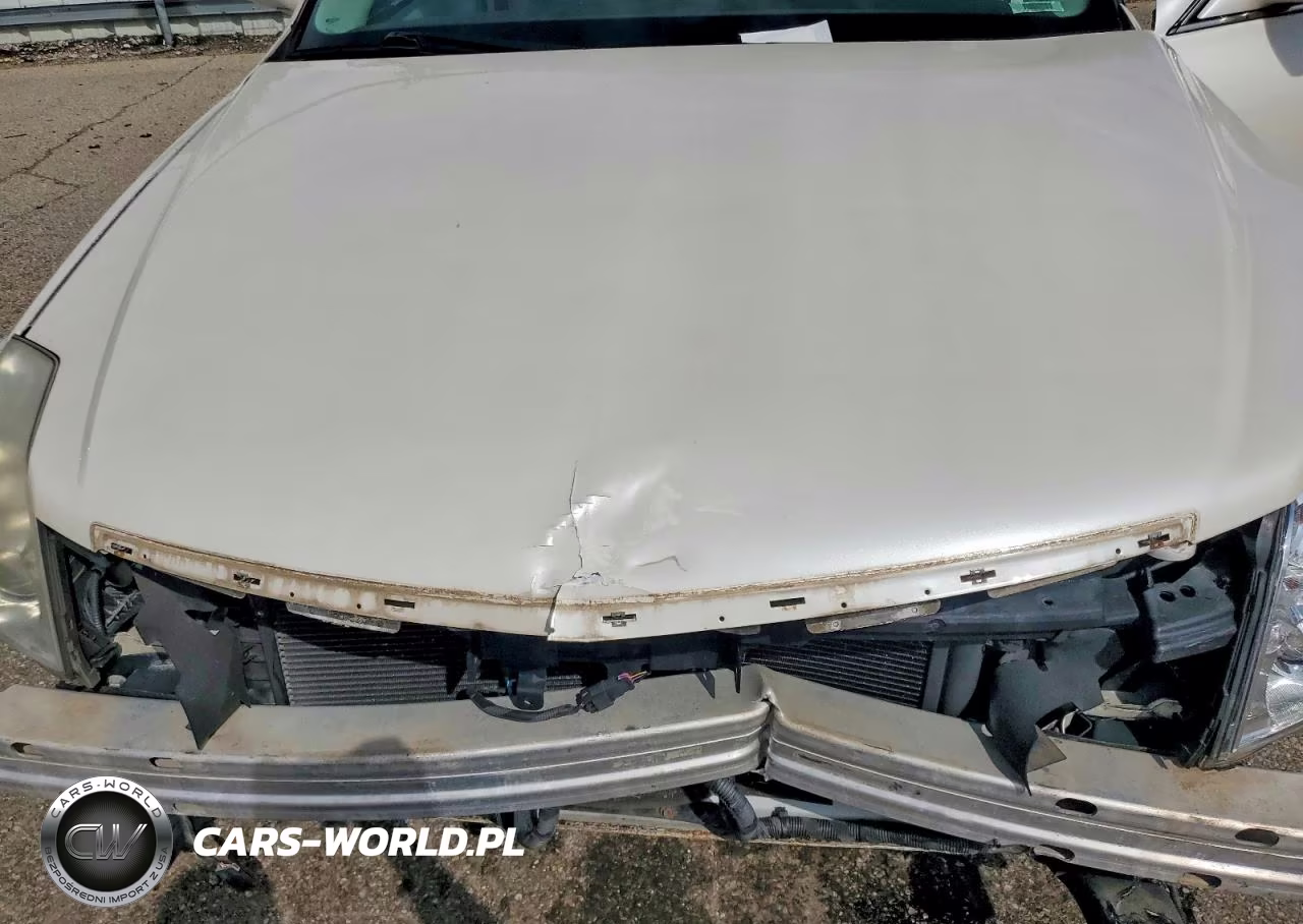 2010 Cadillac Dts Luxury Collection VIN:1G6KD5EY2AU106214 - 11