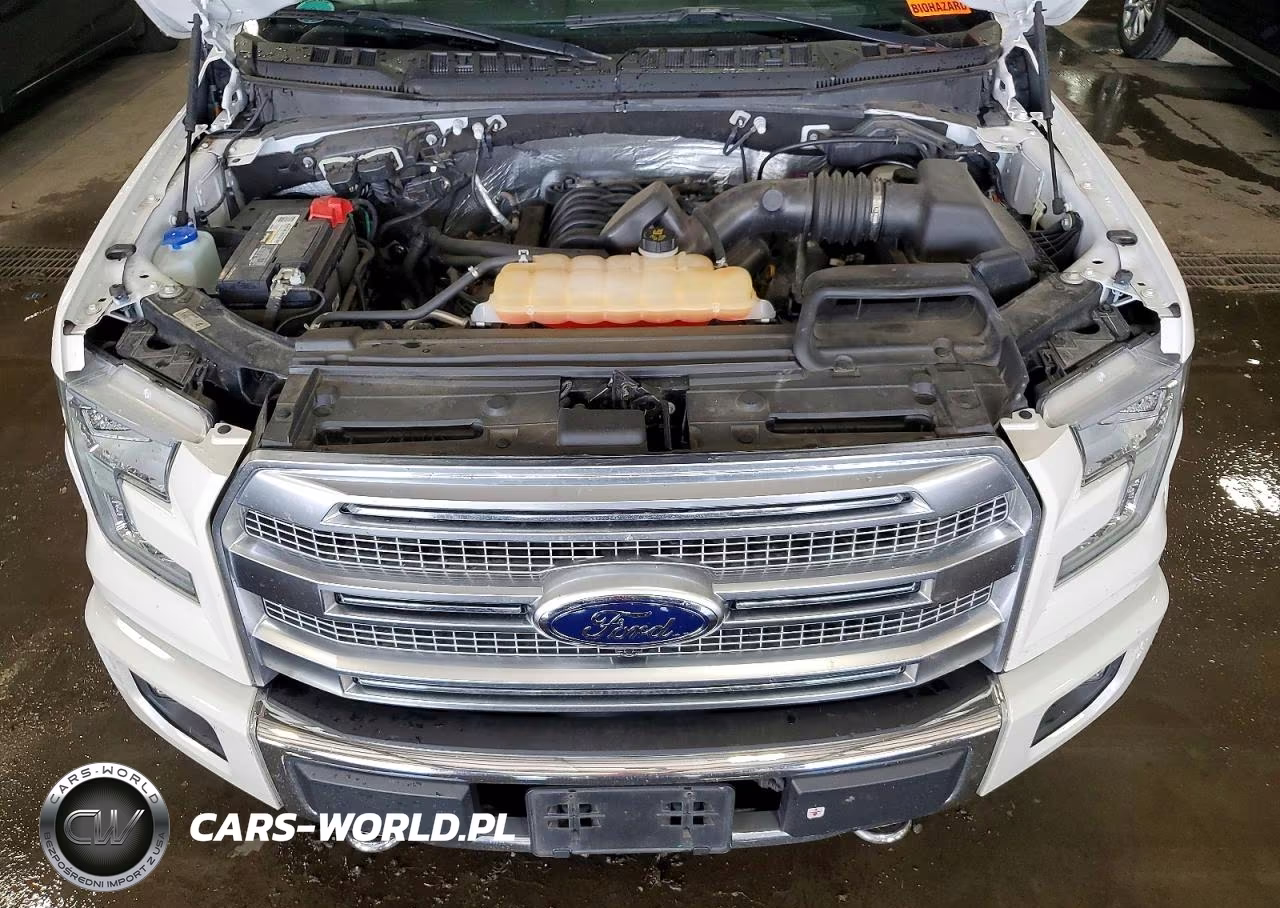 2016 Ford F150 Supercrew VIN:1FTEW1EF8GFB53823 - 11