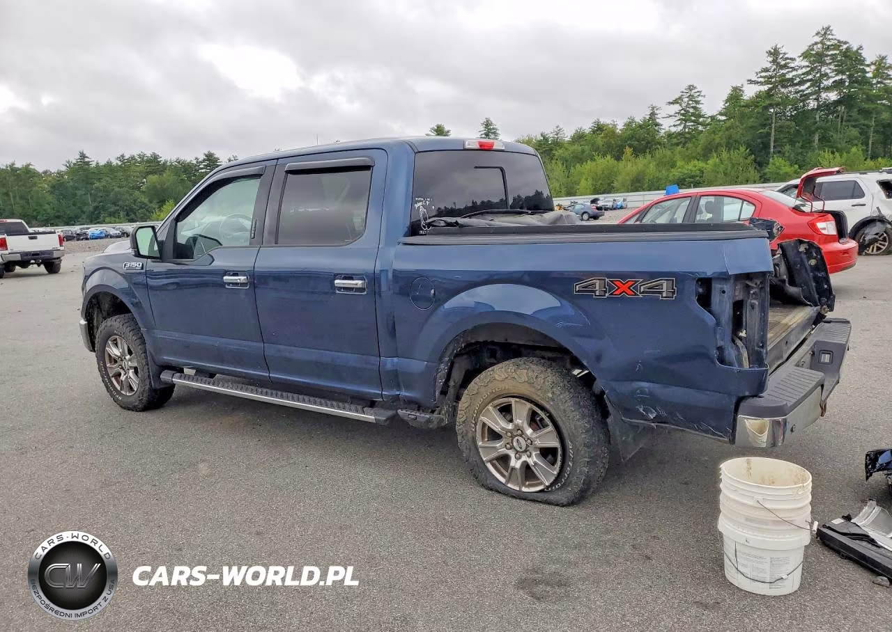2015 Ford F150 Supercrew VIN:1FTEW1EF4FFA07899 - 2