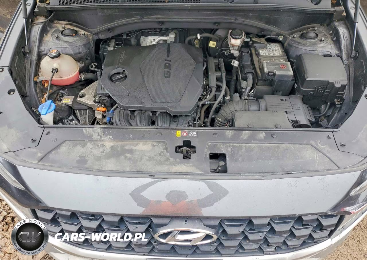 2021 Hyundai Santa Fe Se VIN:5NMS1DAJ9MH333596 - 12