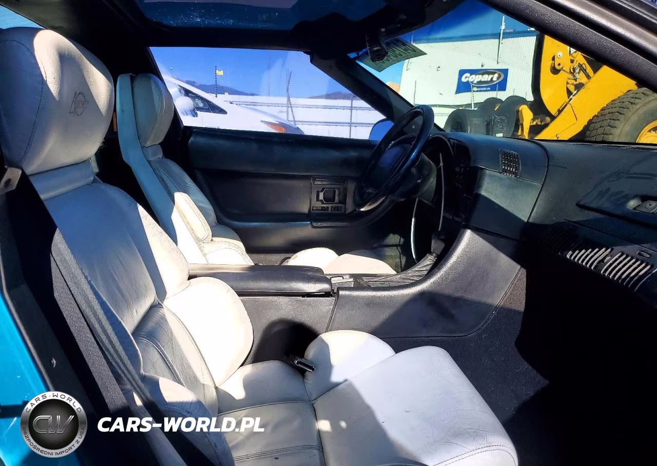 1993 Chevrolet Corvette VIN:1G1YY23P9P5102807 - 10