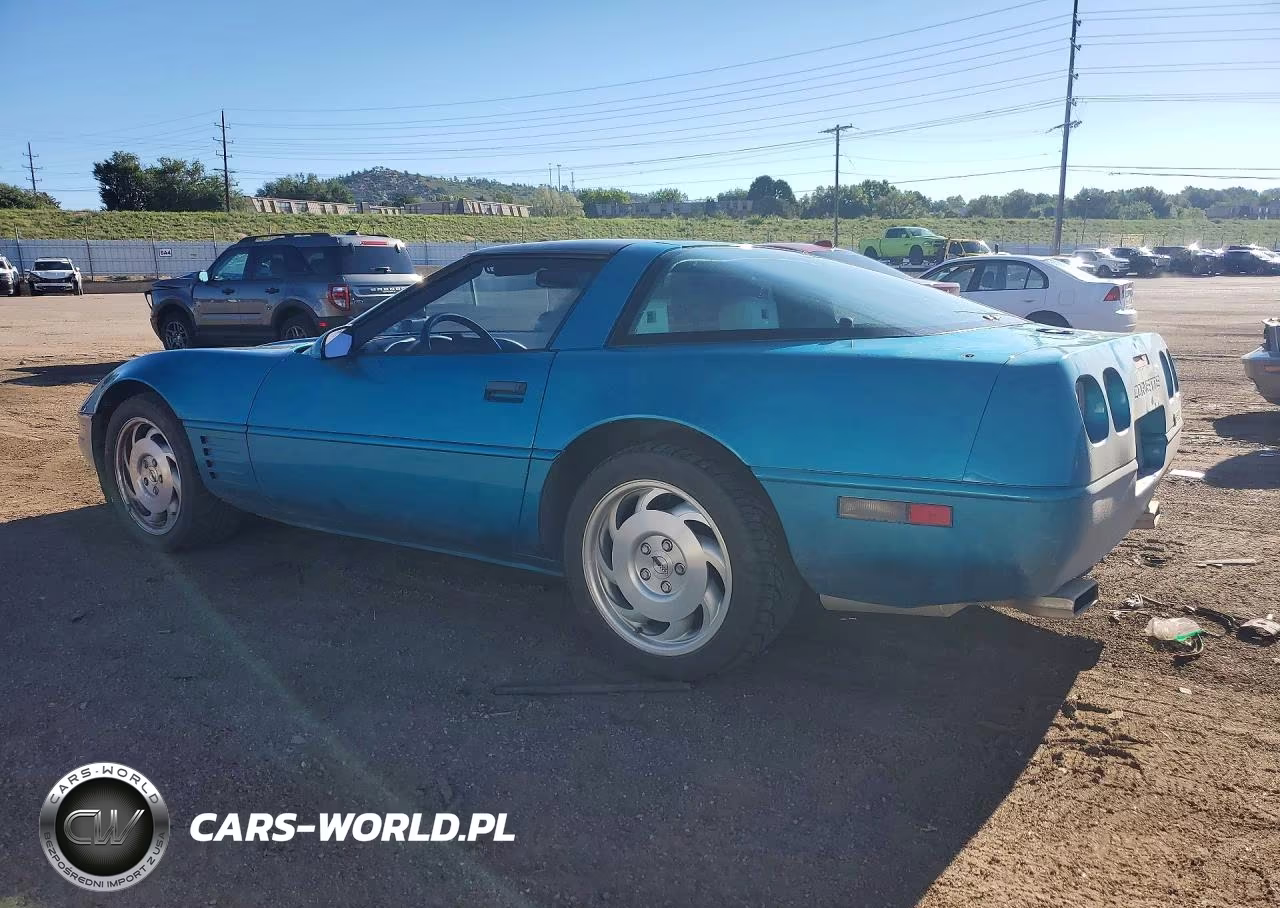 1993 Chevrolet Corvette VIN:1G1YY23P9P5102807 - 2