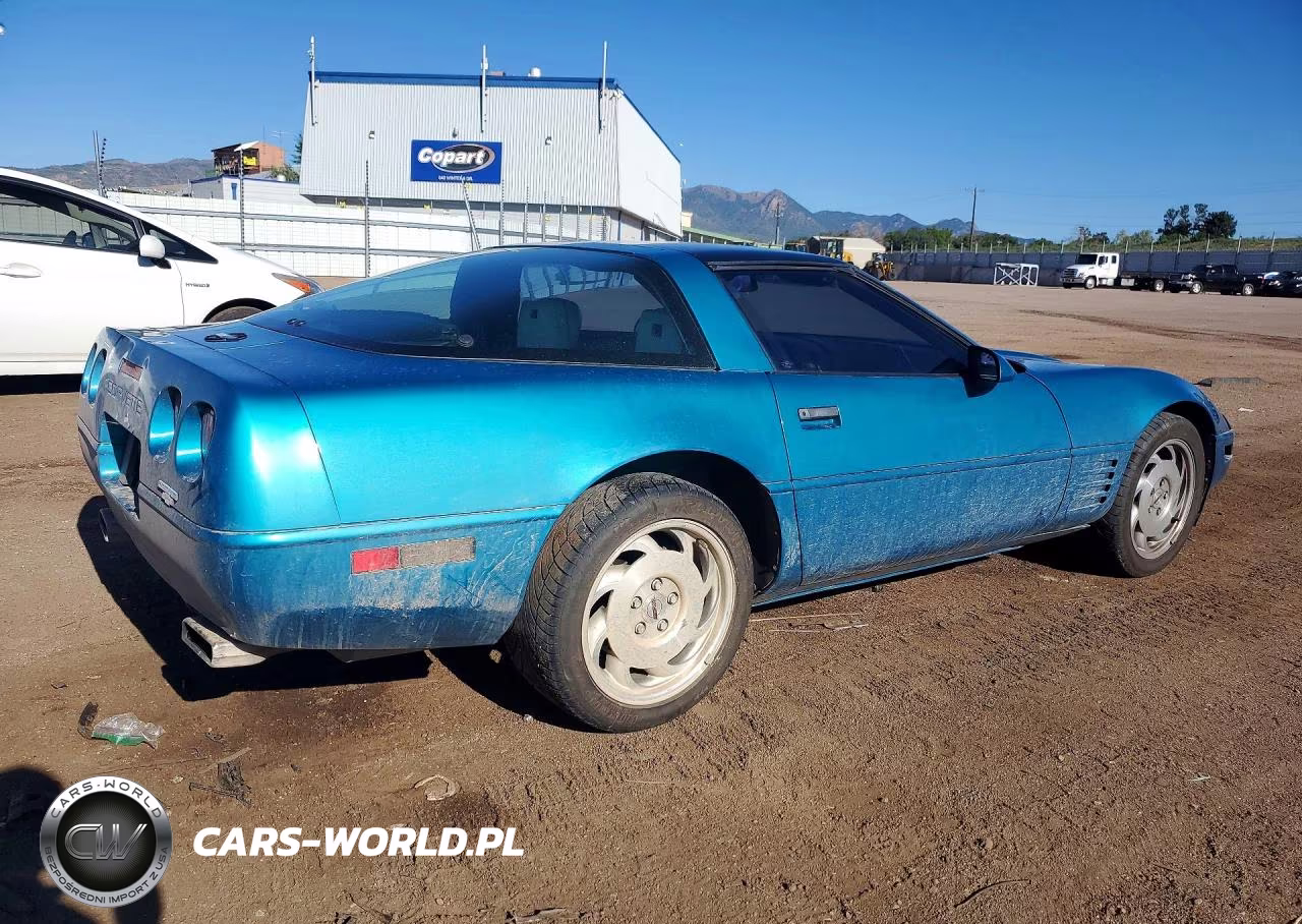 1993 Chevrolet Corvette VIN:1G1YY23P9P5102807 - 3