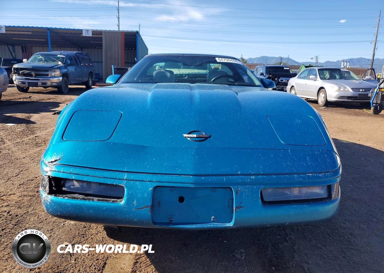 1993 Chevrolet Corvette VIN:1G1YY23P9P5102807 - 5