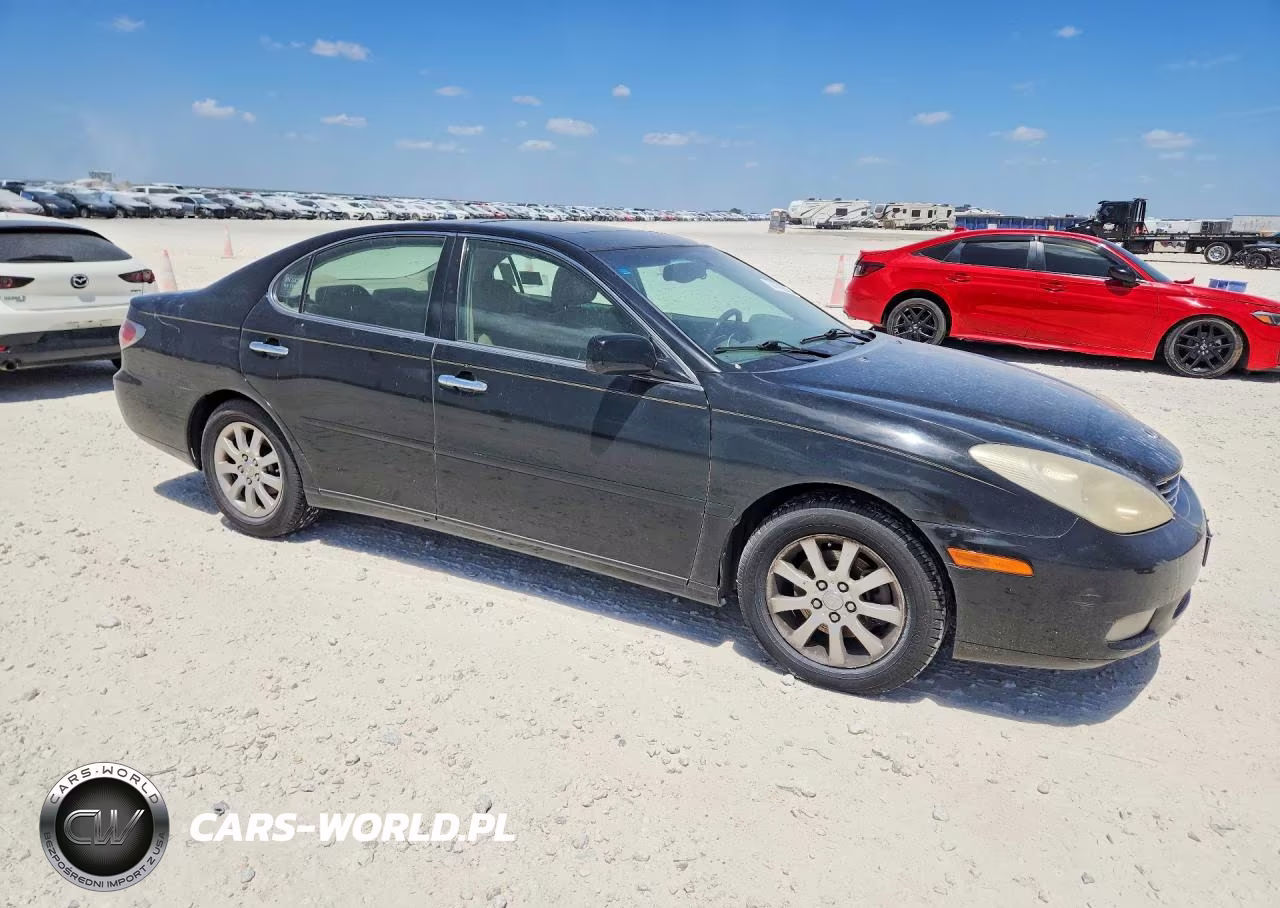 2003 Lexus Es 300 VIN:JTHBF30G635038165 - 4