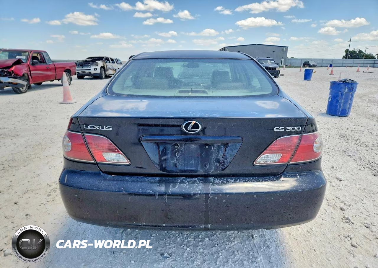 2003 Lexus Es 300 VIN:JTHBF30G635038165 - 6