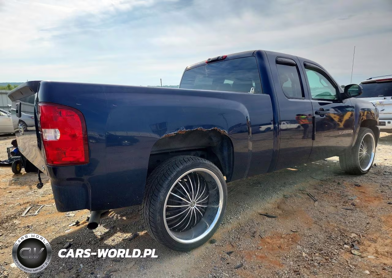 2009 Chevrolet Silverado C1500 VIN:1GCEC19X89Z257290 - 3