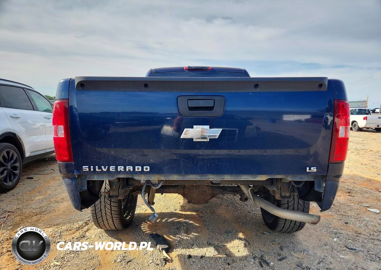 2009 Chevrolet Silverado C1500 VIN:1GCEC19X89Z257290 - 6
