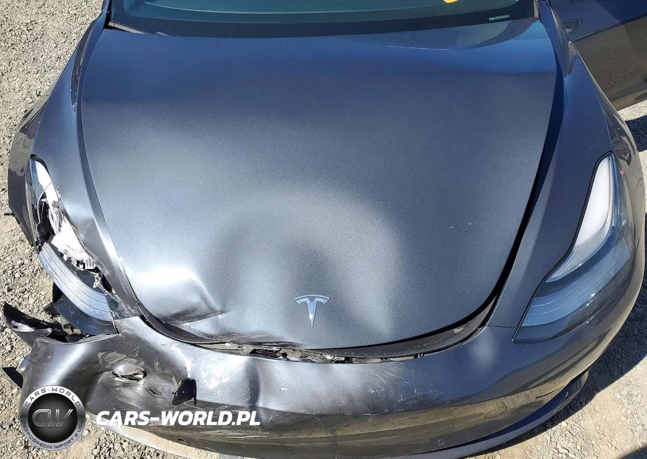 2019 Tesla Model 3 VIN:5YJ3E1EBXKF495696 - 11