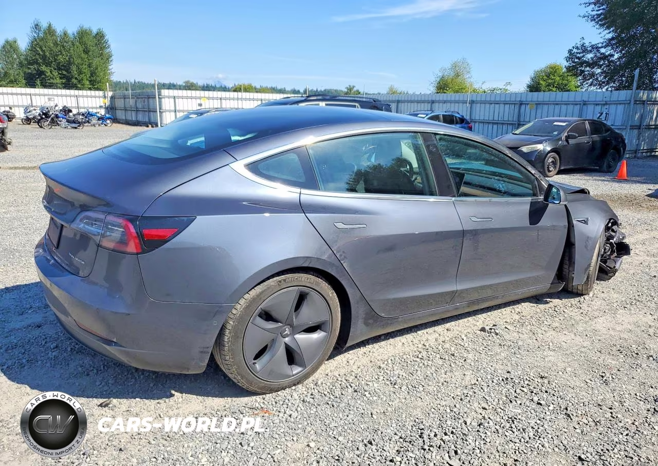 2019 Tesla Model 3 VIN:5YJ3E1EBXKF495696 - 3