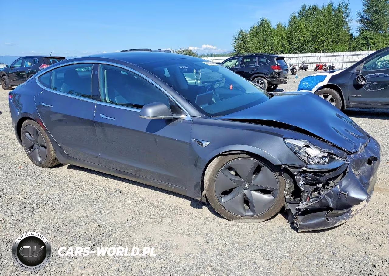 2019 Tesla Model 3 VIN:5YJ3E1EBXKF495696 - 4