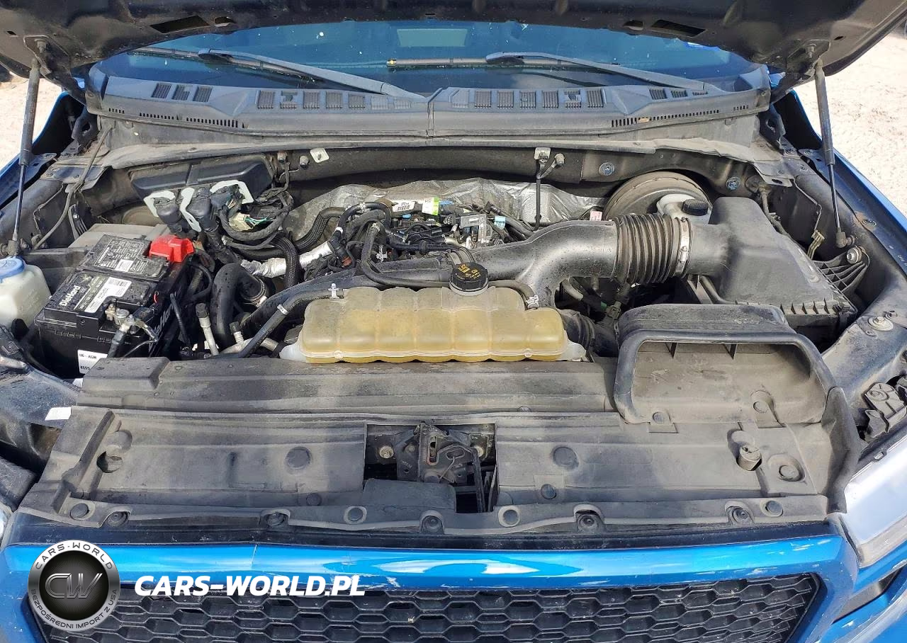 2019 Ford F150 Supercrew VIN:1FTEW1CP6KKE76022 - 11