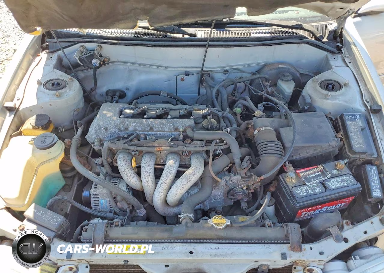 2001 Toyota Corolla Le VIN:2T1BR12E61C391546 - 11