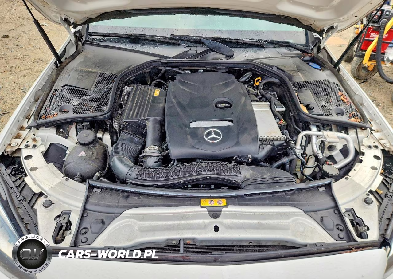 2017 Mercedes-Benz C 300 4Matic VIN:55SWF4KB2HU224185 - 11