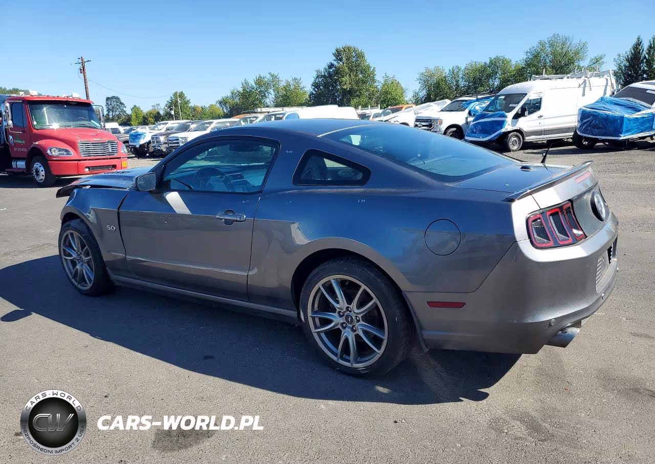 2014 Ford Mustang Gt VIN:1ZVBP8CF2E5212893 - 2