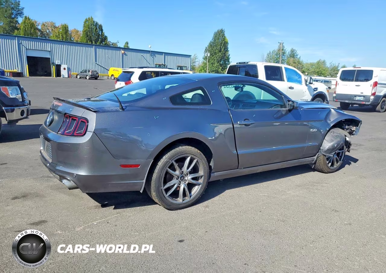 2014 Ford Mustang Gt VIN:1ZVBP8CF2E5212893 - 3