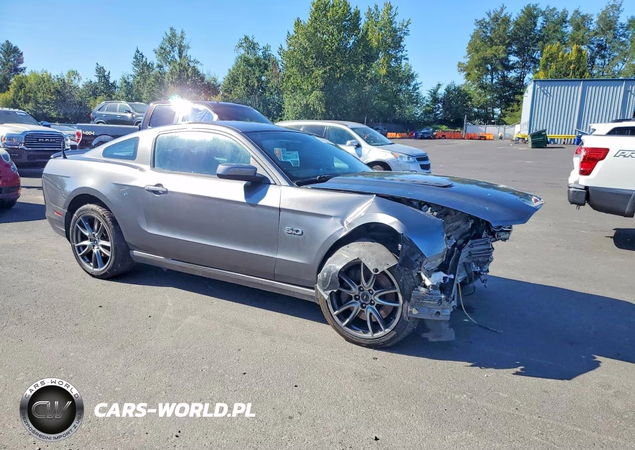 2014 Ford Mustang Gt VIN:1ZVBP8CF2E5212893 - 4