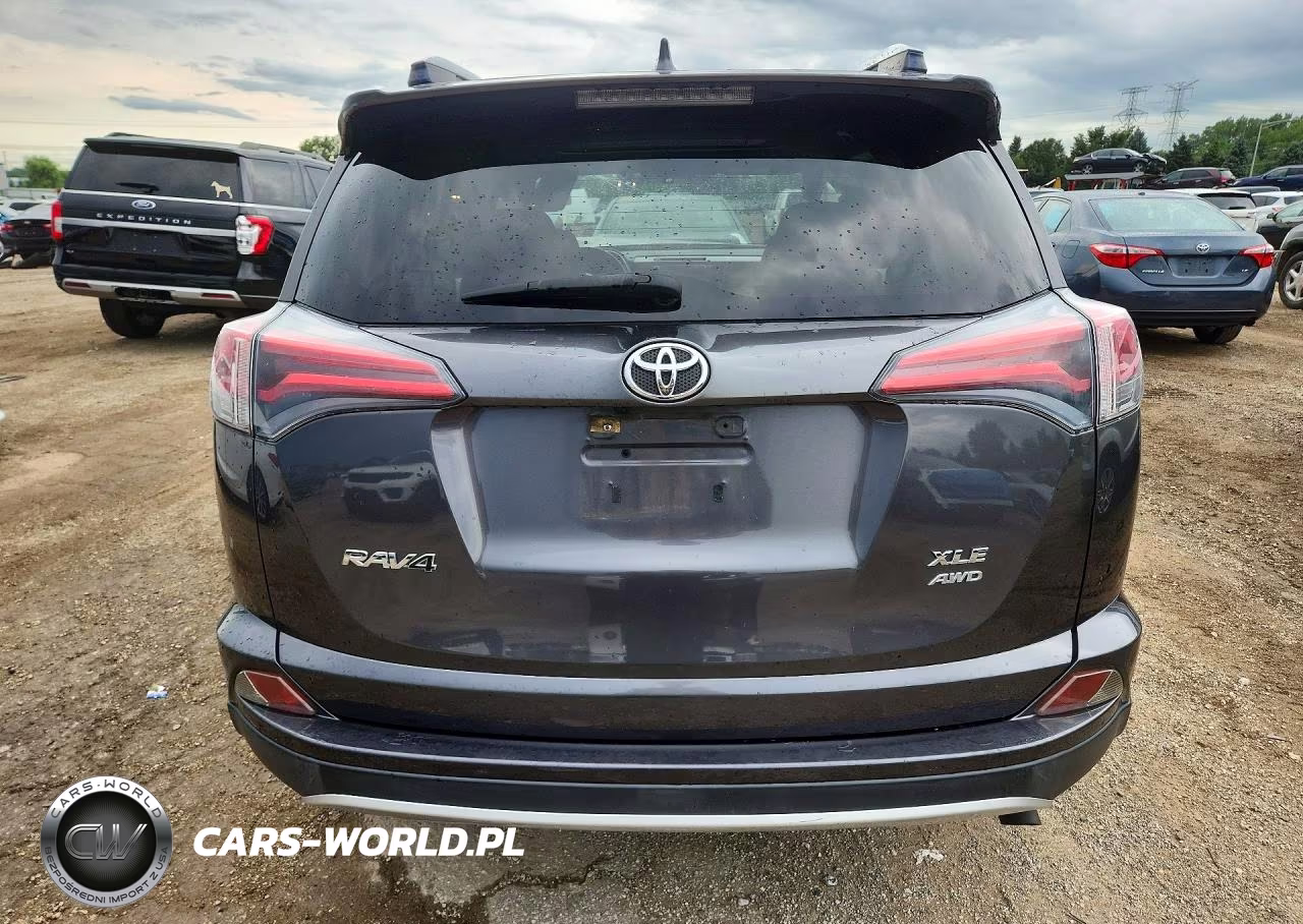 2016 Toyota Rav4 Xle VIN:JTMRFREV4GJ096301 - 6