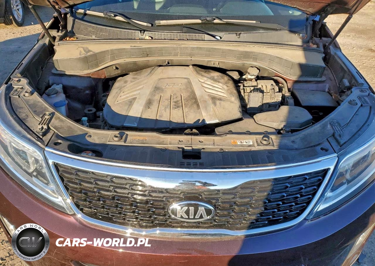2014 Kia Sorento Ex VIN:5XYKU4A72EG468927 - 12