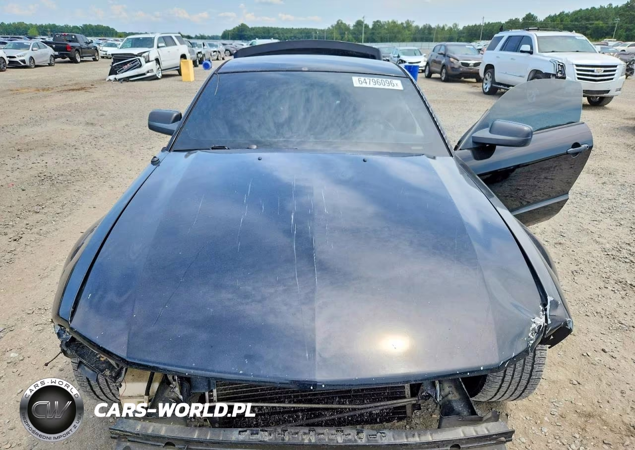 2006 Ford Mustang Gt VIN:1ZVFT82H965146487 - 11