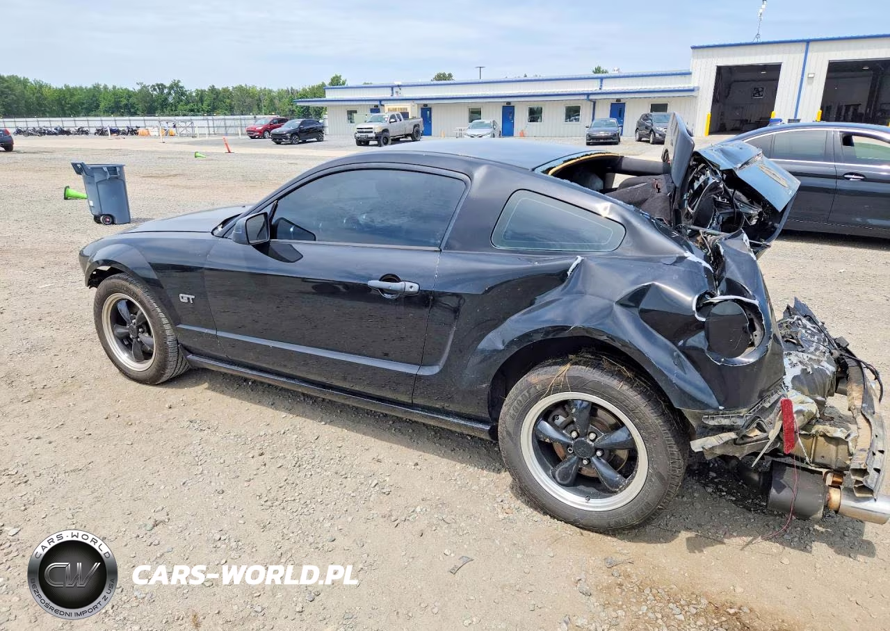 2006 Ford Mustang Gt VIN:1ZVFT82H965146487 - 2