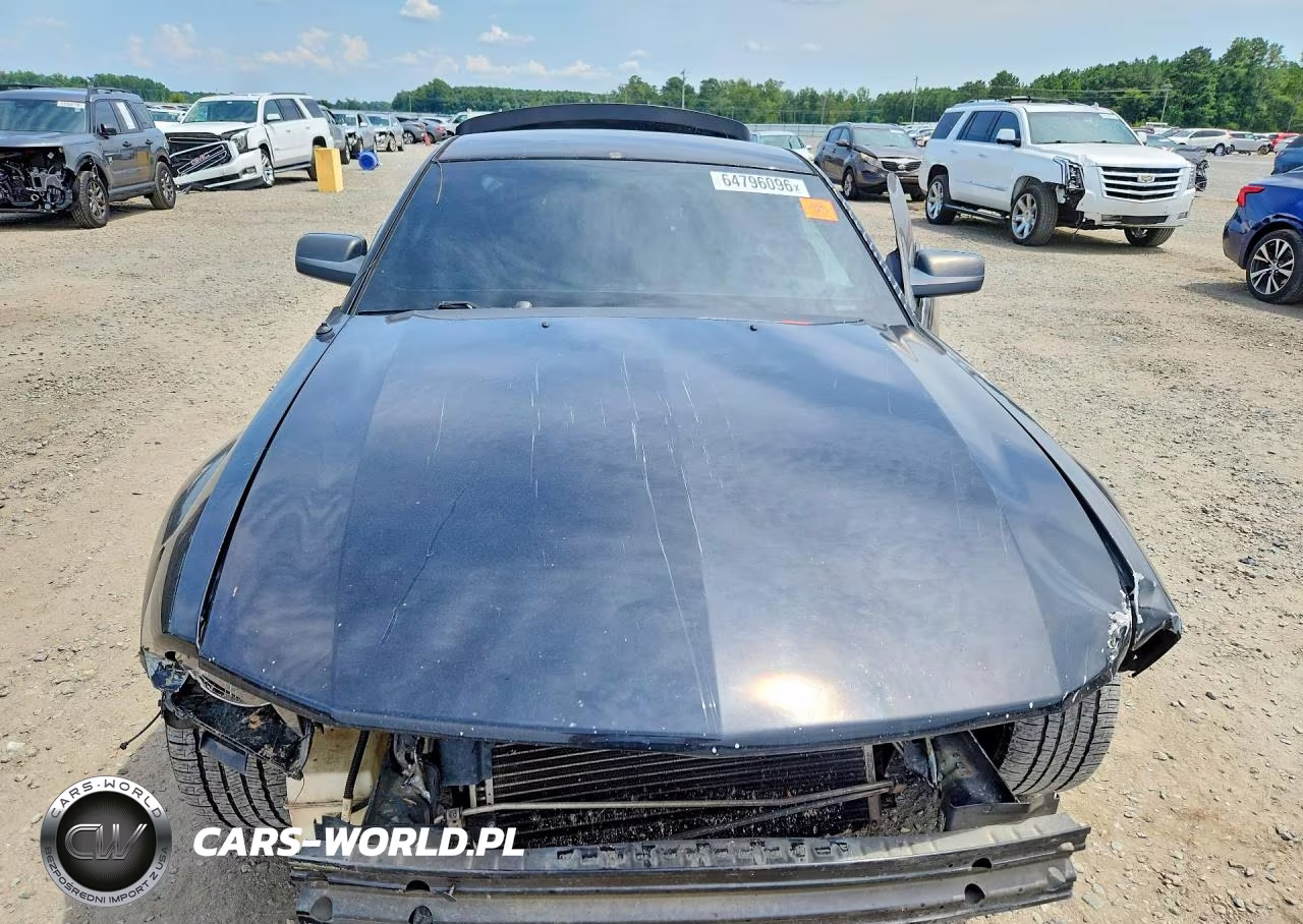 2006 Ford Mustang Gt VIN:1ZVFT82H965146487 - 5