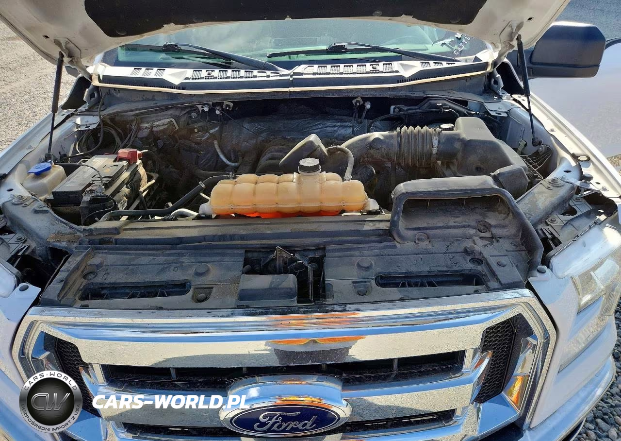 2016 Ford F150 Supercrew VIN:1FTFW1EF2GKF73136 - 12