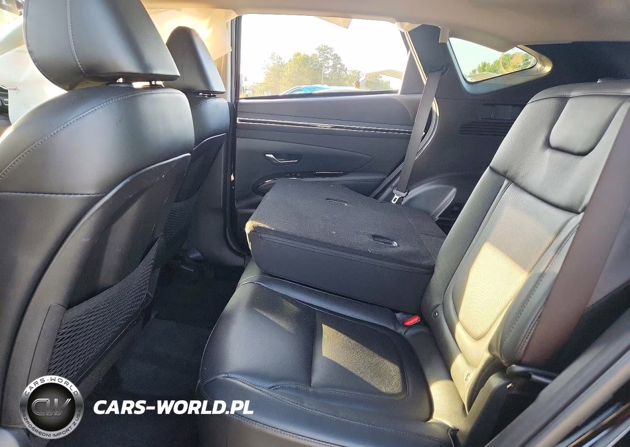 2024 Hyundai Tucson Limited VIN:KM8JECD12RU236340 - 11