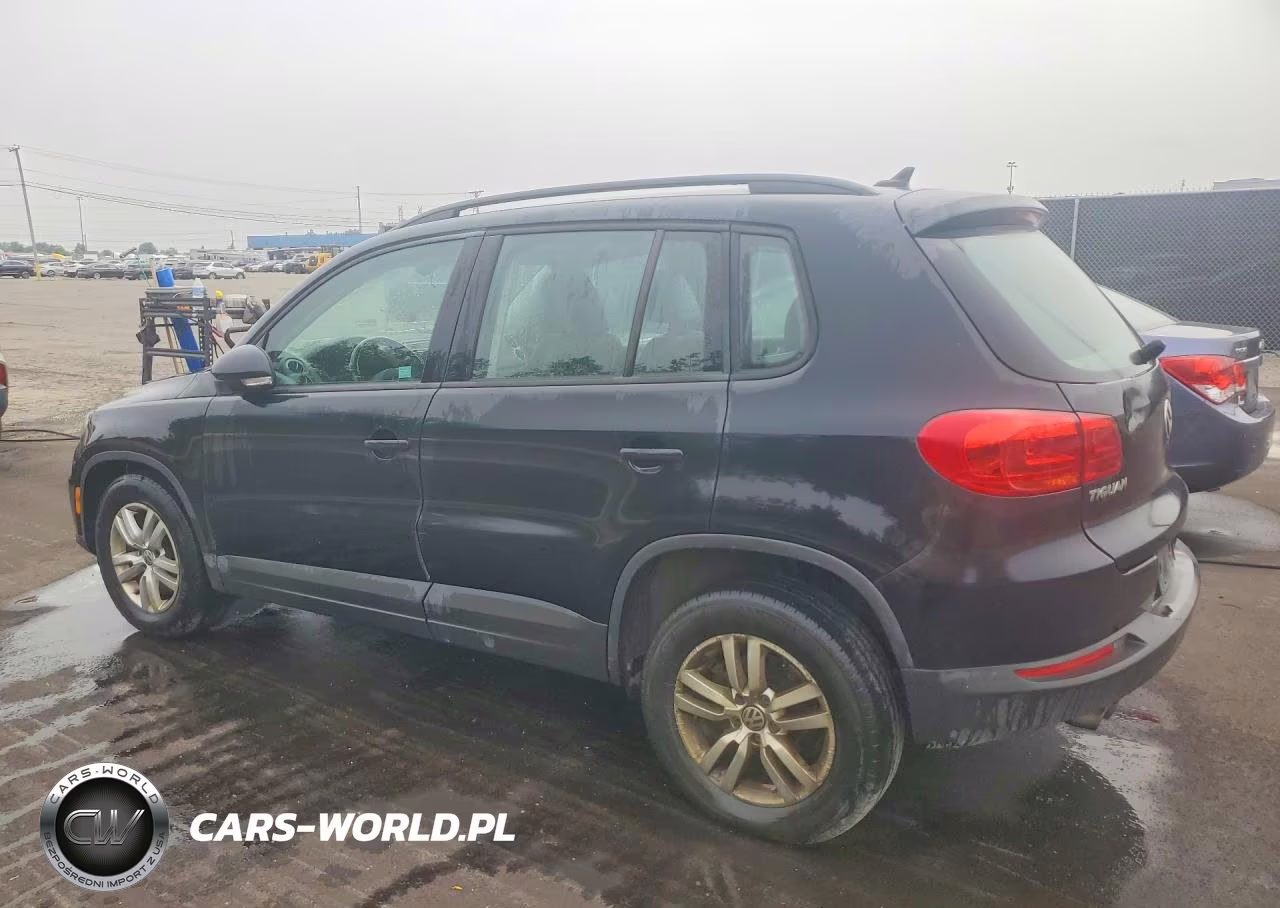 2017 Volkswagen Tiguan S VIN:WVGBV7AX5HK000134 - 2