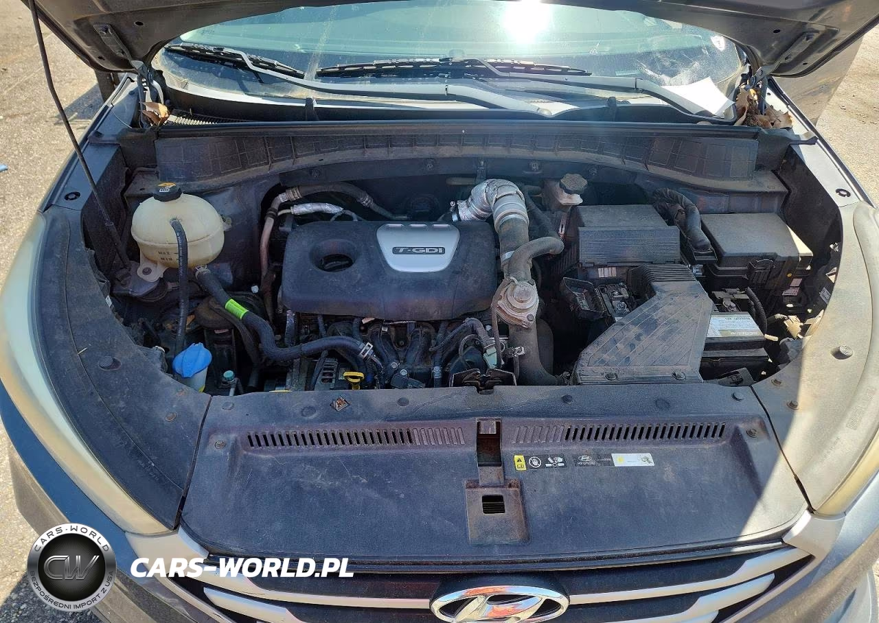 2017 Hyundai Tucson Eco VIN:KM8J33A25HU577412 - 12