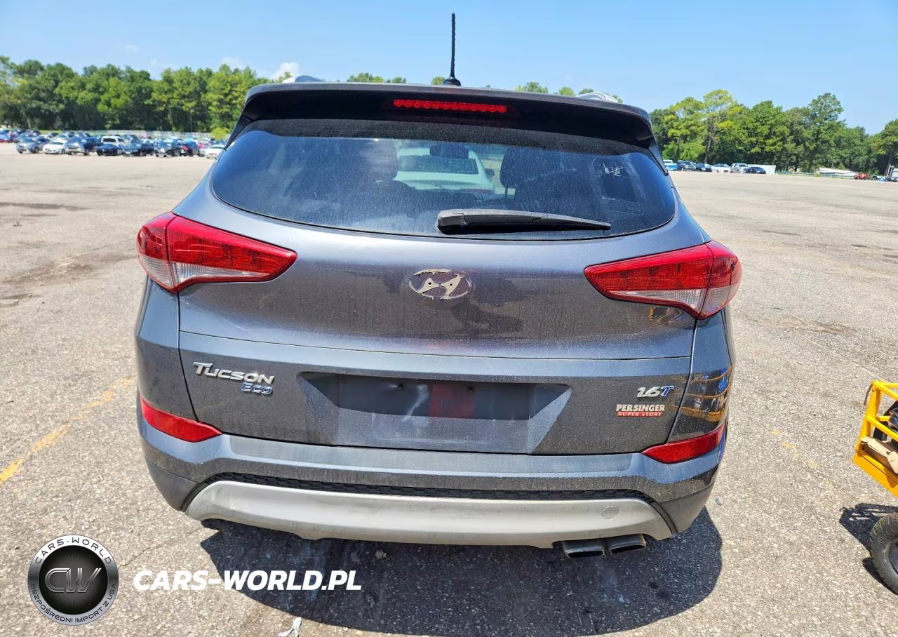 2017 Hyundai Tucson Eco VIN:KM8J33A25HU577412 - 6