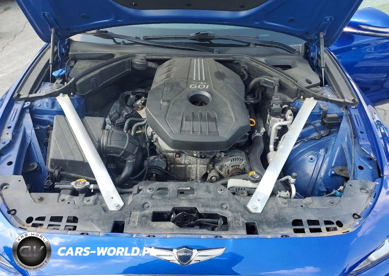 2019 Genesis G70 Advanced VIN:KMTG64LA5KU036272 - 11