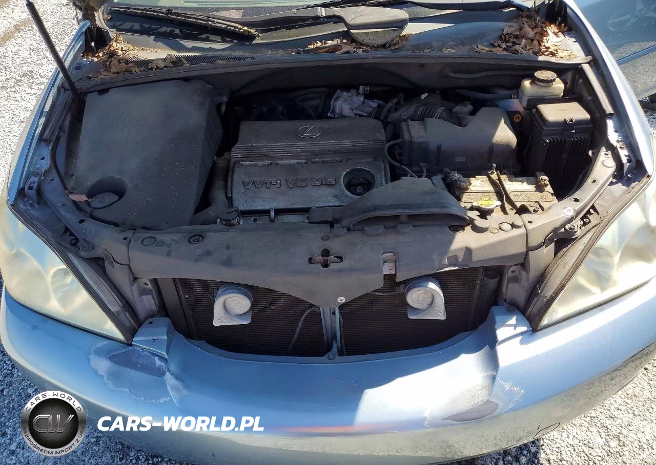 2004 Lexus Rx 330 VIN:2T2GA31U64C006729 - 12