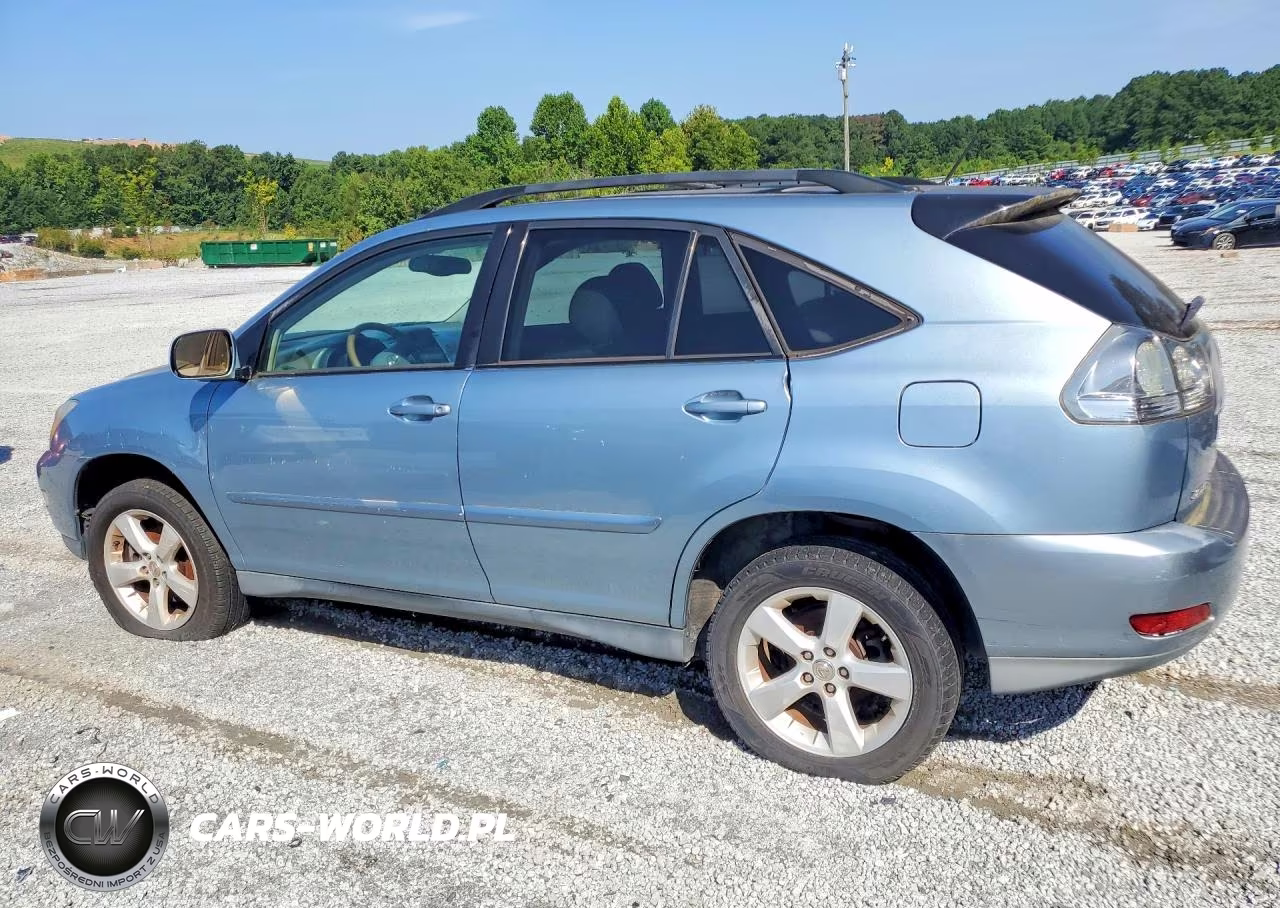2004 Lexus Rx 330 VIN:2T2GA31U64C006729 - 2
