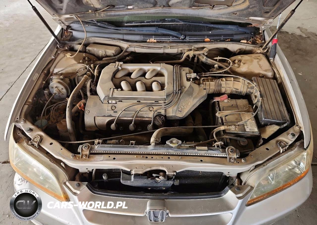 1999 Honda Accord Lx VIN:1HGCG1646XA028464 - 11