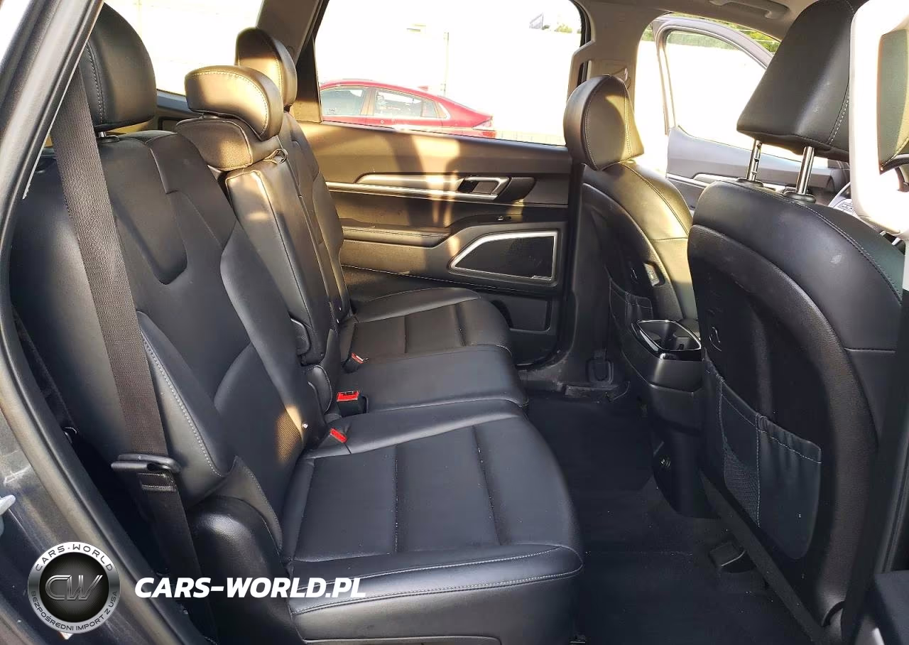 2022 Kia Telluride Lx VIN:5XYP2DHC9NG314956 - 11