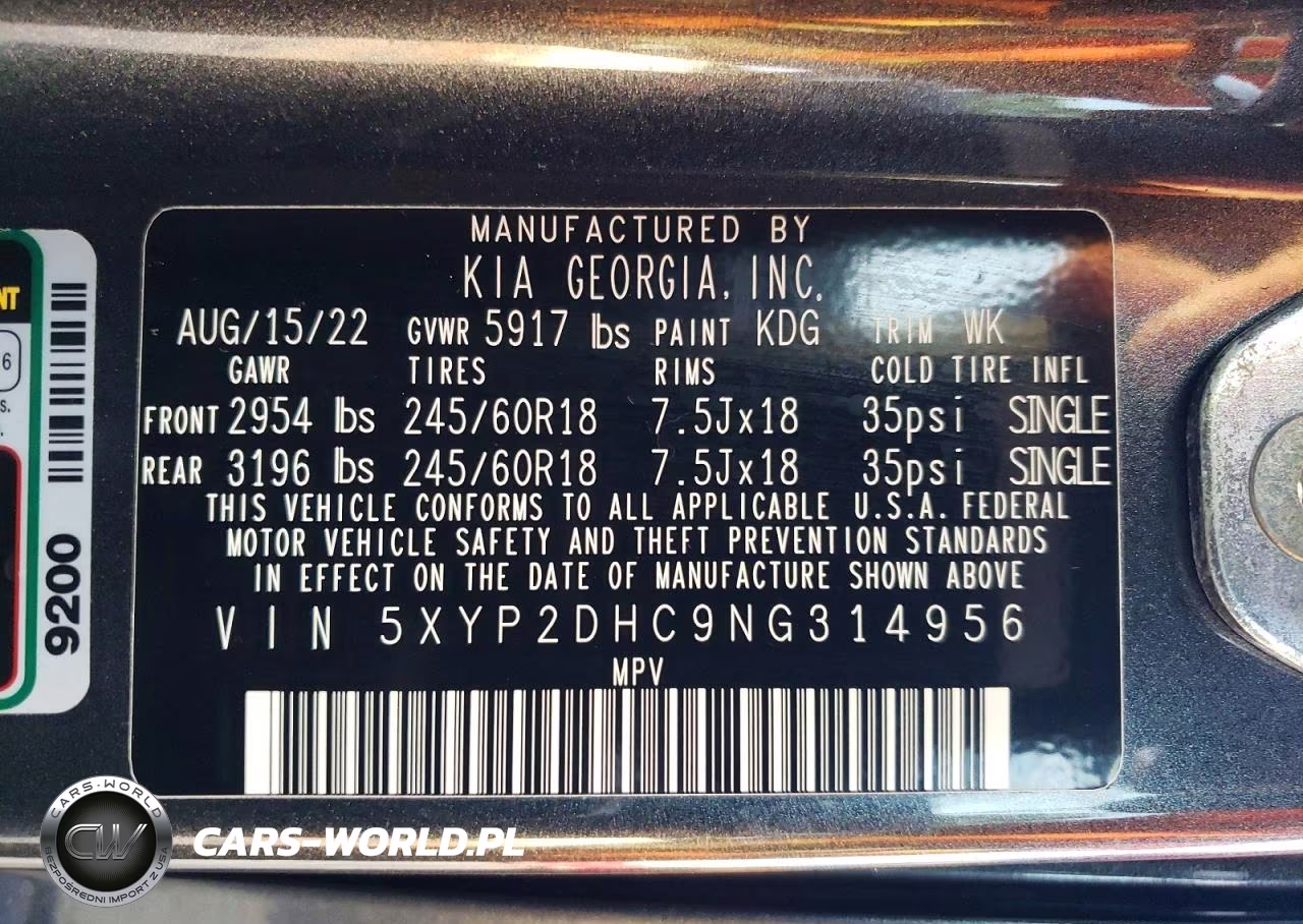 2022 Kia Telluride Lx VIN:5XYP2DHC9NG314956 - 13