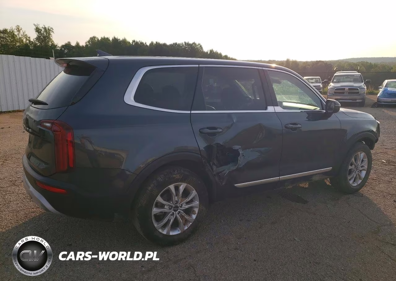 2022 Kia Telluride Lx VIN:5XYP2DHC9NG314956 - 3