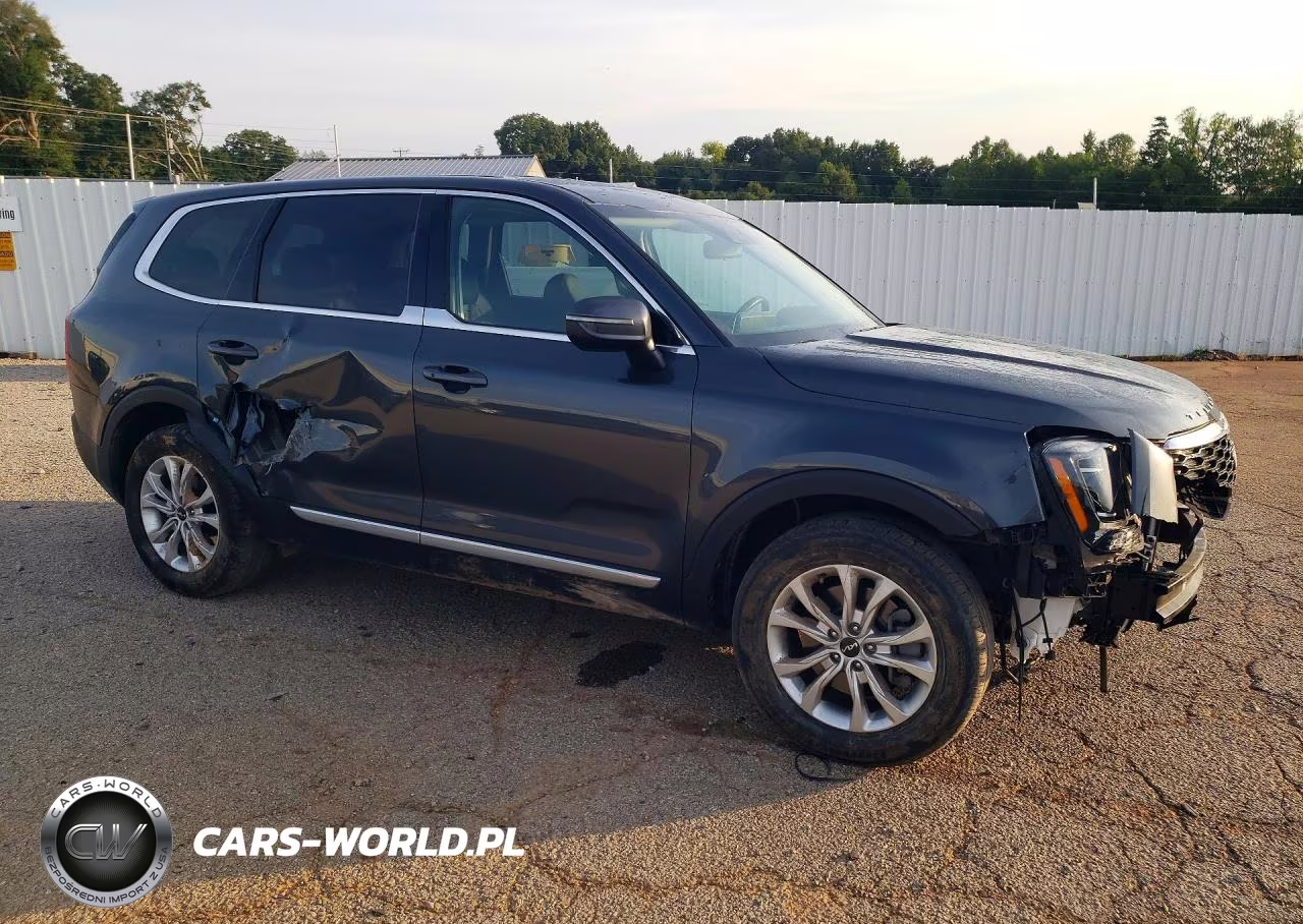 2022 Kia Telluride Lx VIN:5XYP2DHC9NG314956 - 4