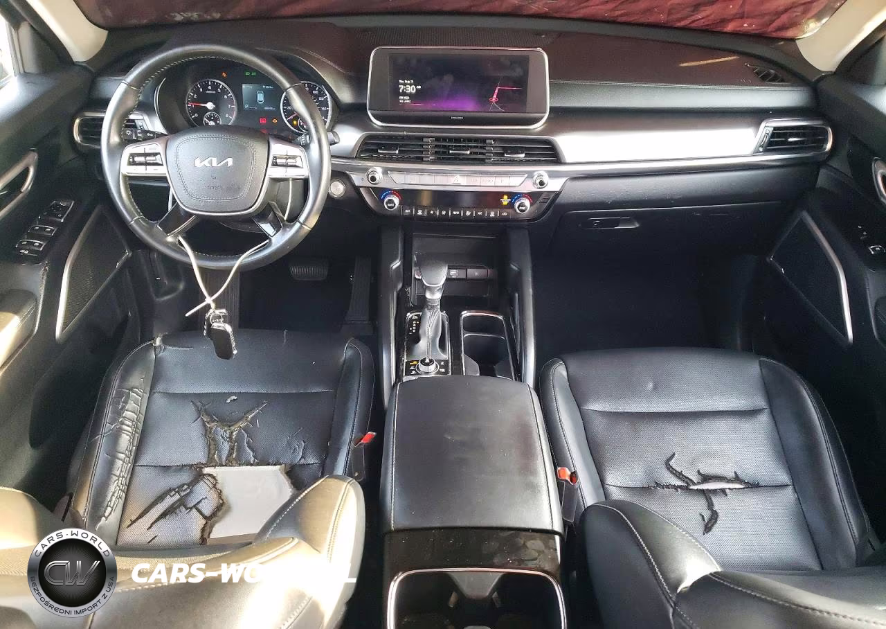 2022 Kia Telluride Lx VIN:5XYP2DHC9NG314956 - 8