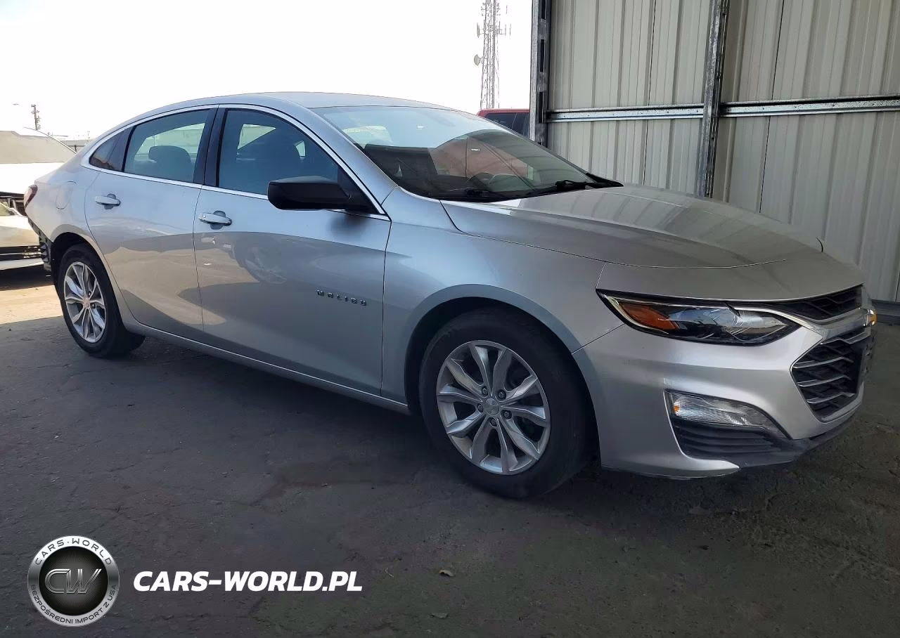 2019 Chevrolet Malibu Lt VIN:1G1ZD5ST0KF223485 - 4