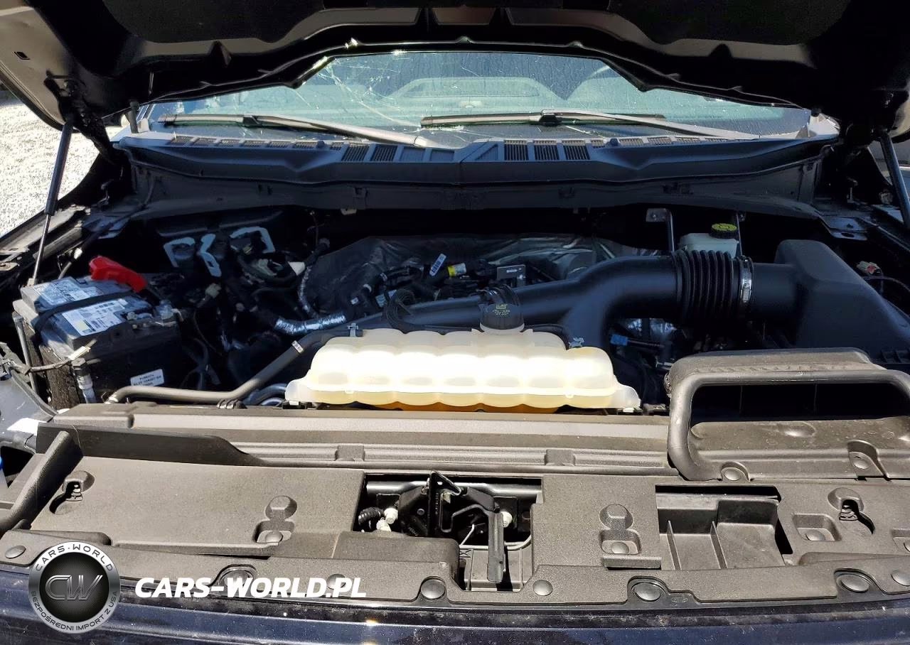 2024 Ford F150 Xlt VIN:1FTEW3KP0RKF03612 - 11