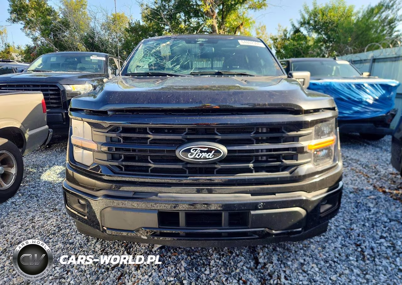 2024 Ford F150 Xlt VIN:1FTEW3KP0RKF03612 - 5