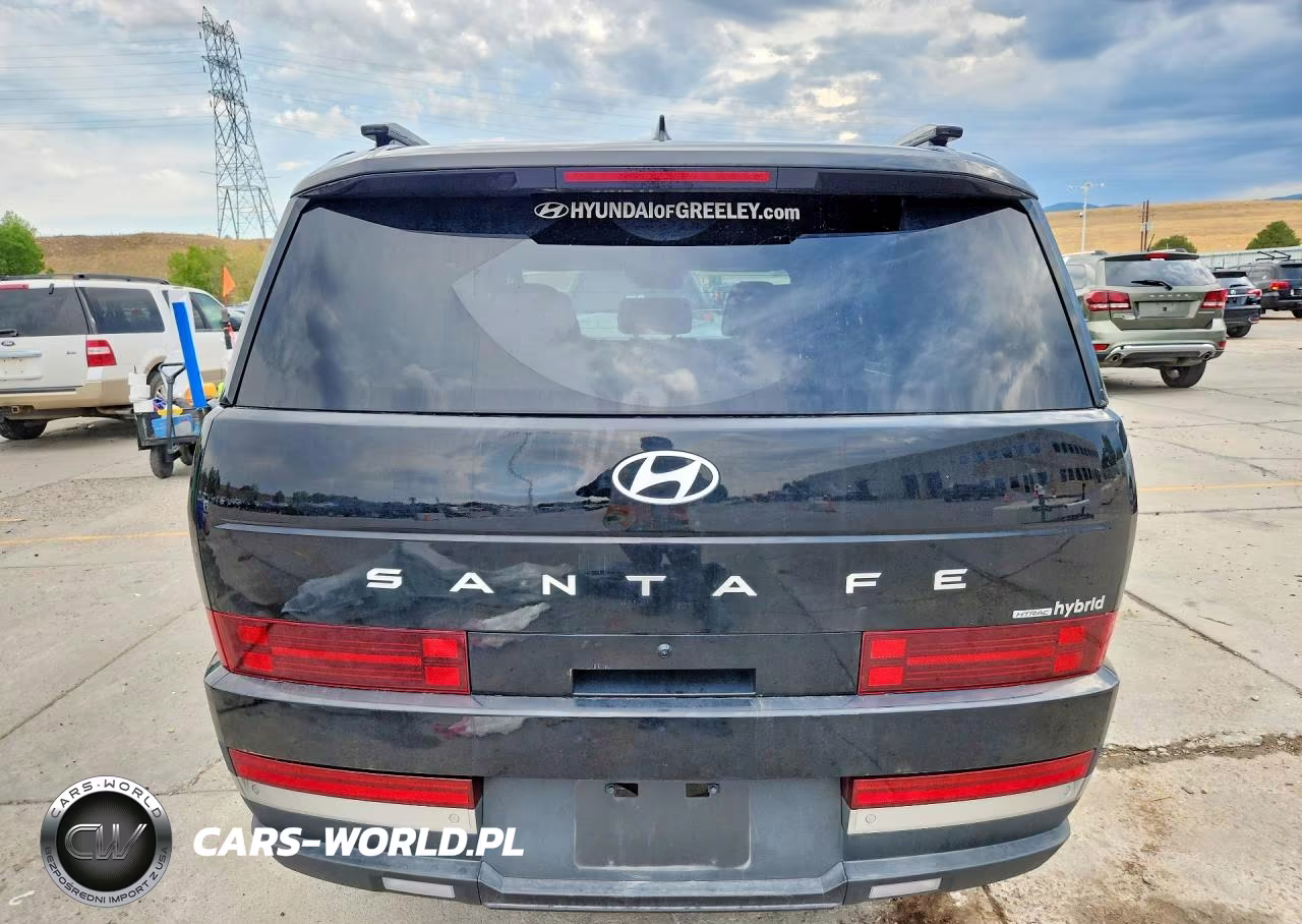 2025 Hyundai Santa Fe Limited VIN:5NMP3DG14SH024669 - 6