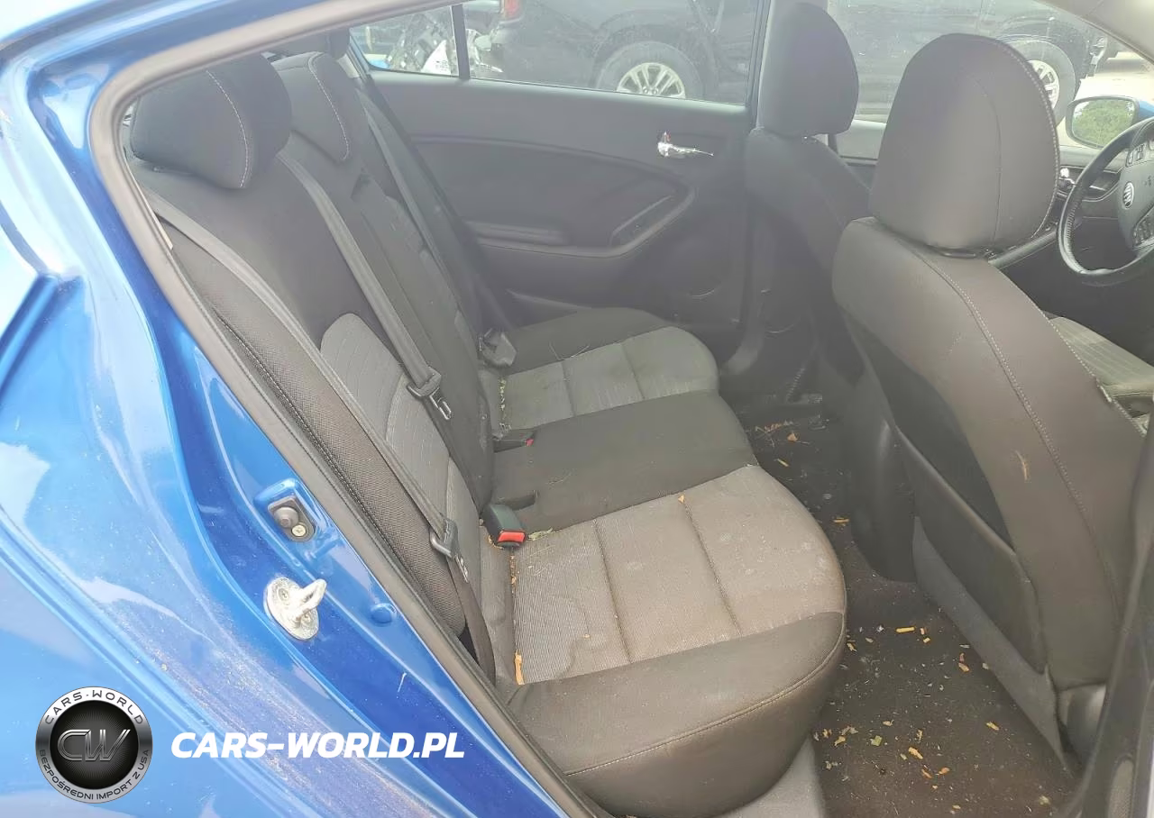2015 Kia Forte Ex VIN:KNAFX4A86F5261191 - 10