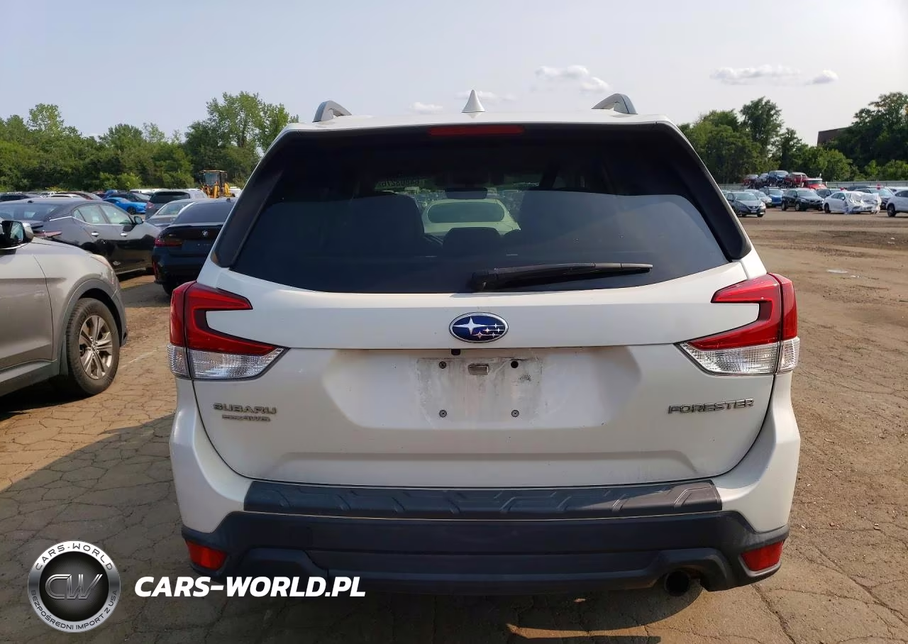 2019 Subaru Forester Limited VIN:JF2SKASC0KH470504 - 6