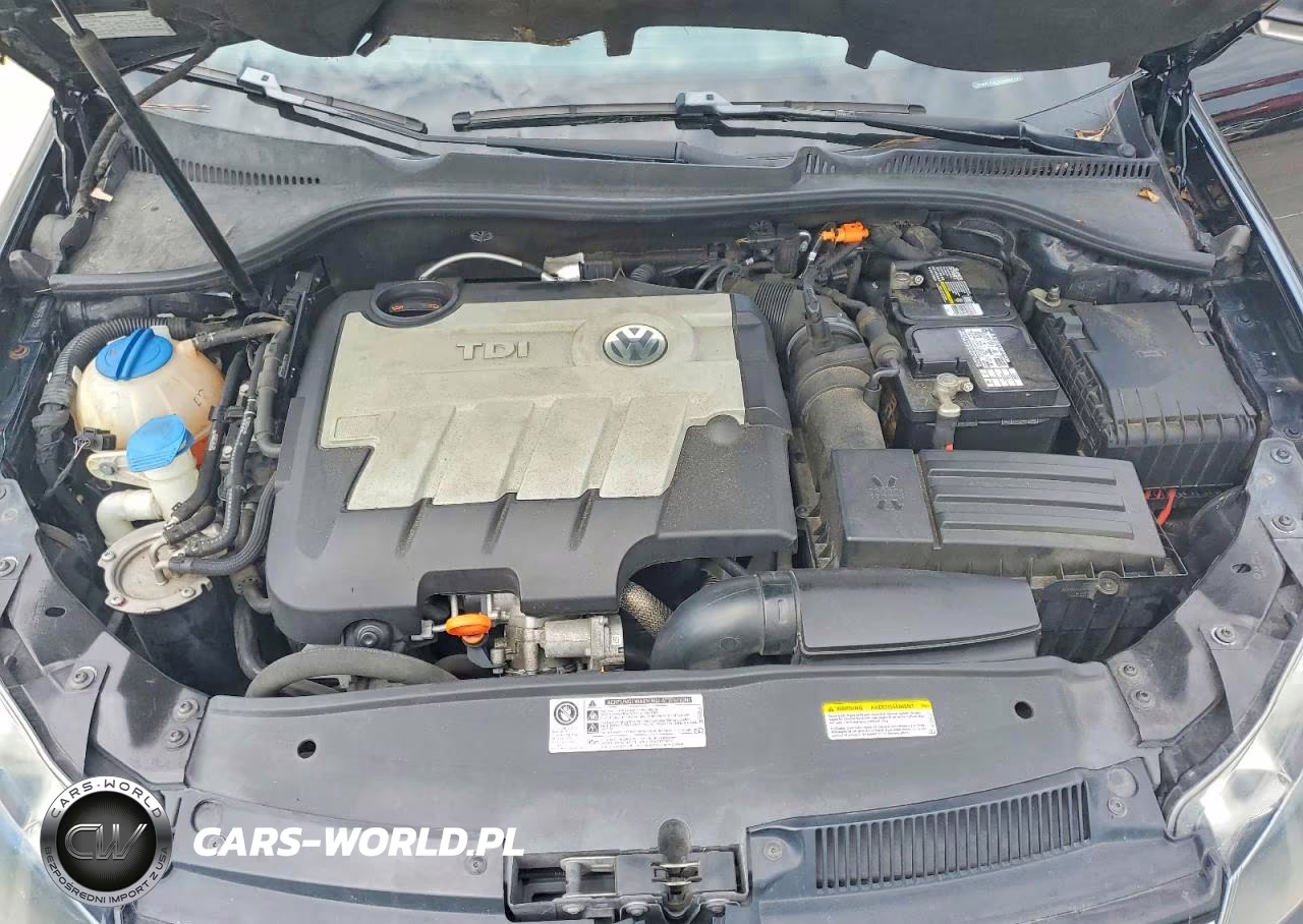 2013 Volkswagen Jetta Tdi VIN:3VWPL7AJ3DM655193 - 11
