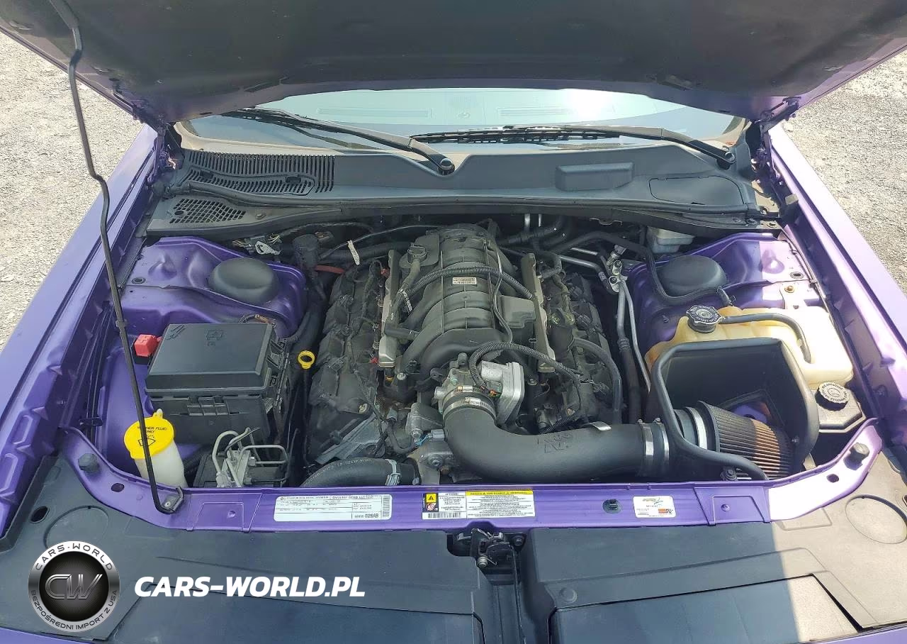 2010 Dodge Challenger R-T VIN:2B3CJ5DT9AH173039 - 11